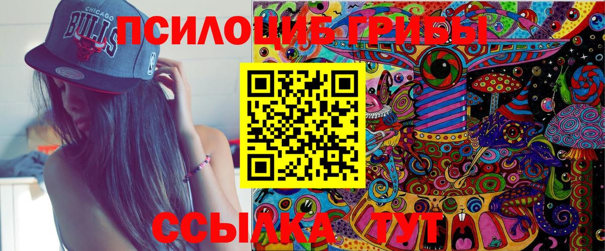 Галлюциногенные грибы Psilocybe Тавда