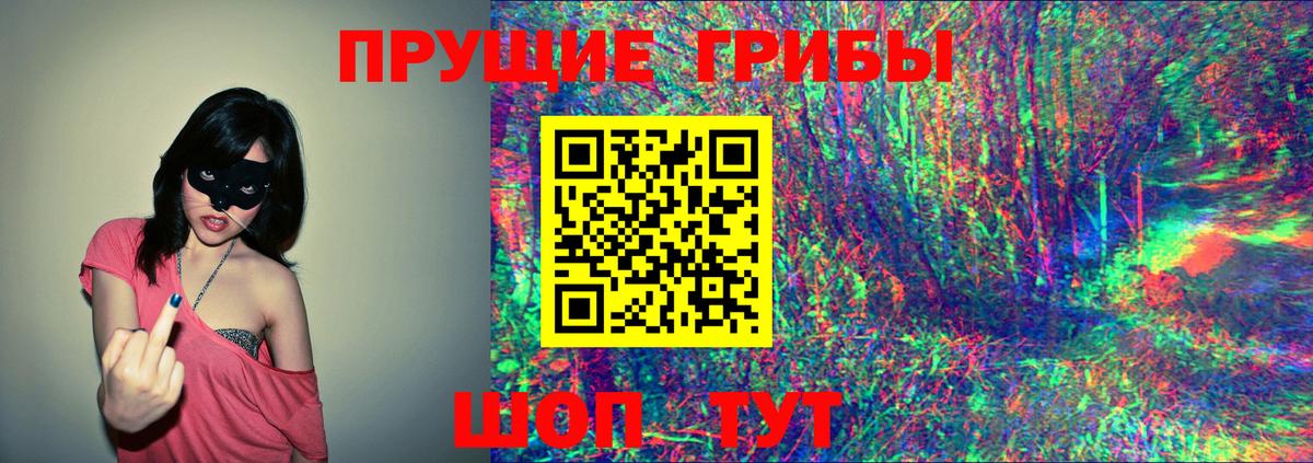 Псилоцибиновые грибы GOLDEN TEACHER  Псилоцибиновые грибы Psilocybine cubensis  Тавда  Вход с VPN 